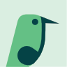 Bird 10