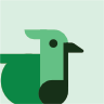 Bird 13