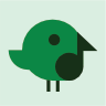 Bird 15