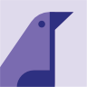 Bird 35
