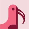 Bird 37