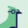 Bird 41