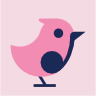 Bird 6