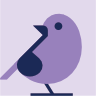 Bird 8